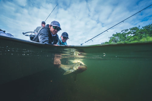 G. Loomis Introduces the NRX+ INSHORE for Ultimate Saltwater Pursuits