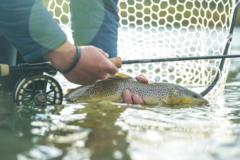 G. Loomis Updates the Asquith Series with a Ground-Up Redesign