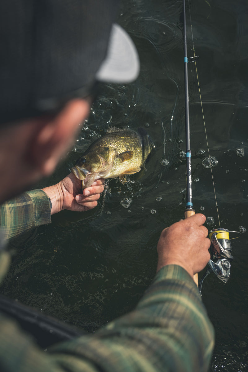 G.Loomis Fishing Reels