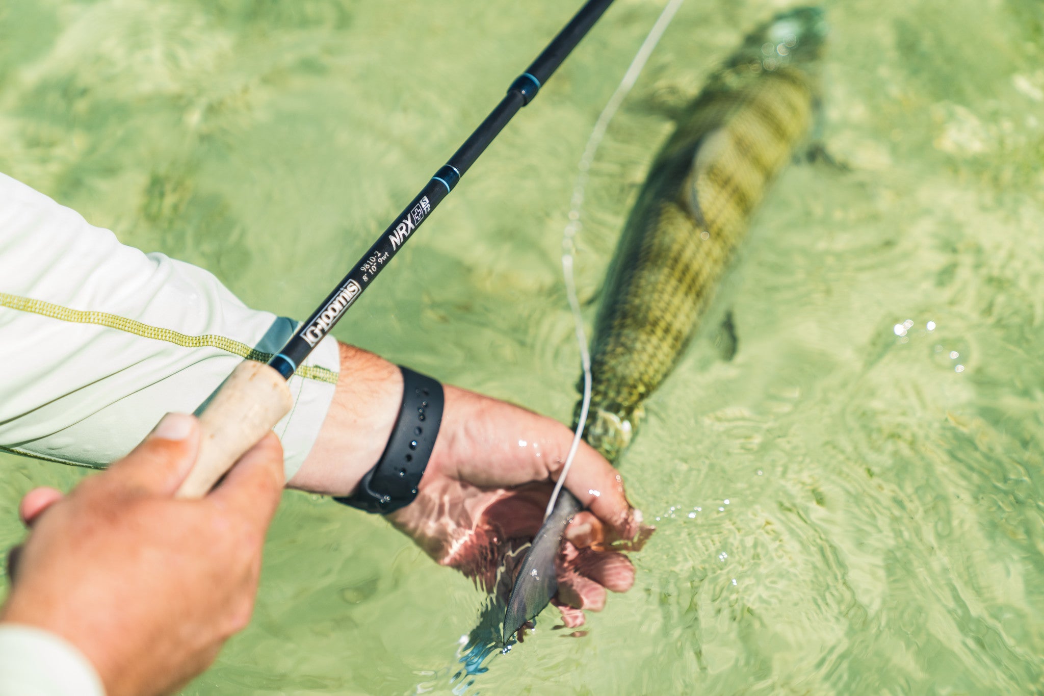 NRX+ FLY T2S – G. Loomis US