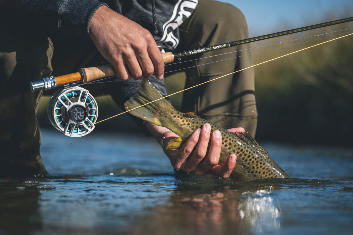 best accessories for fly fishing Amazon Sellers: Best Equipment quality vise 10 Fly Fishing Accessories Every